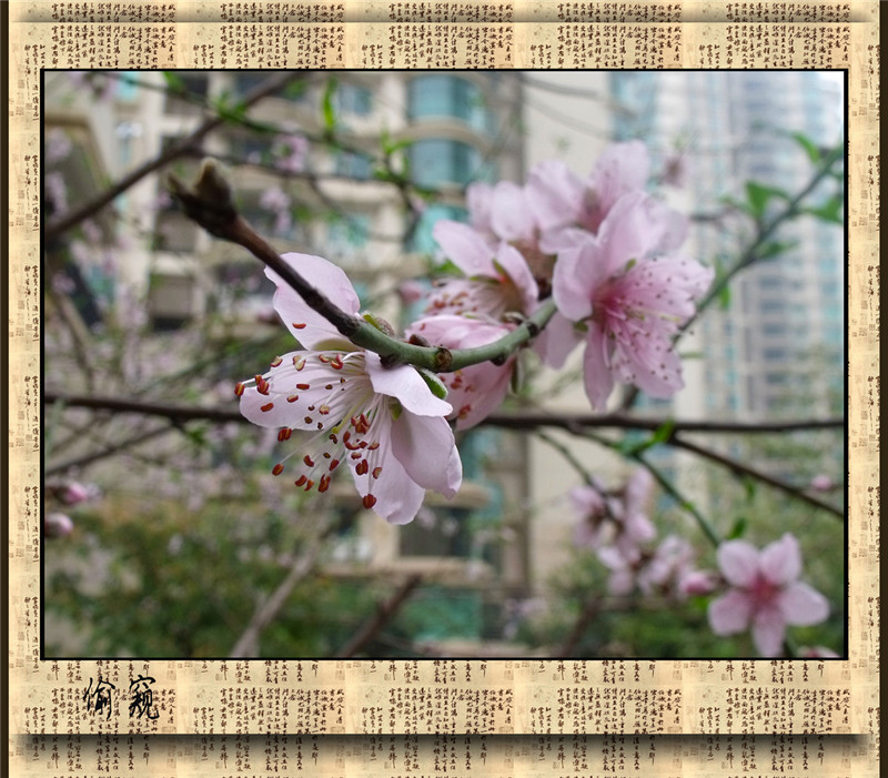 ͵�� 4_����.jpg