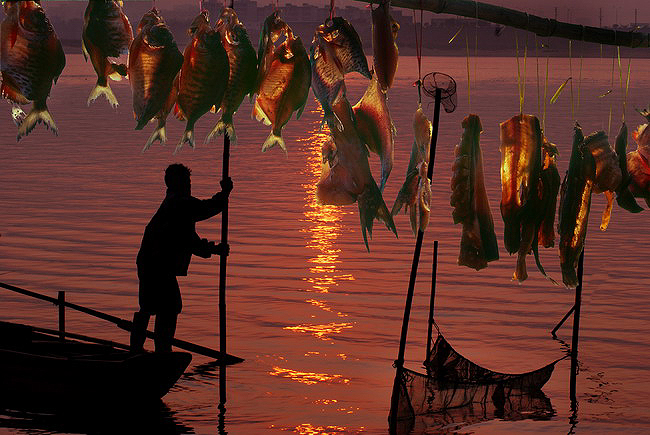 ���Ƚ� ��������.jpg