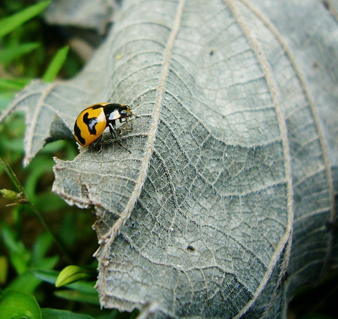 ���㽱  �߹�����.jpg