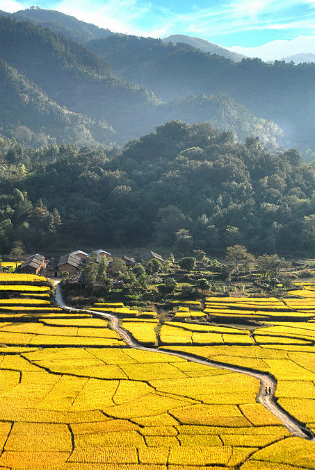 һ�Ƚ�  ��������.jpg